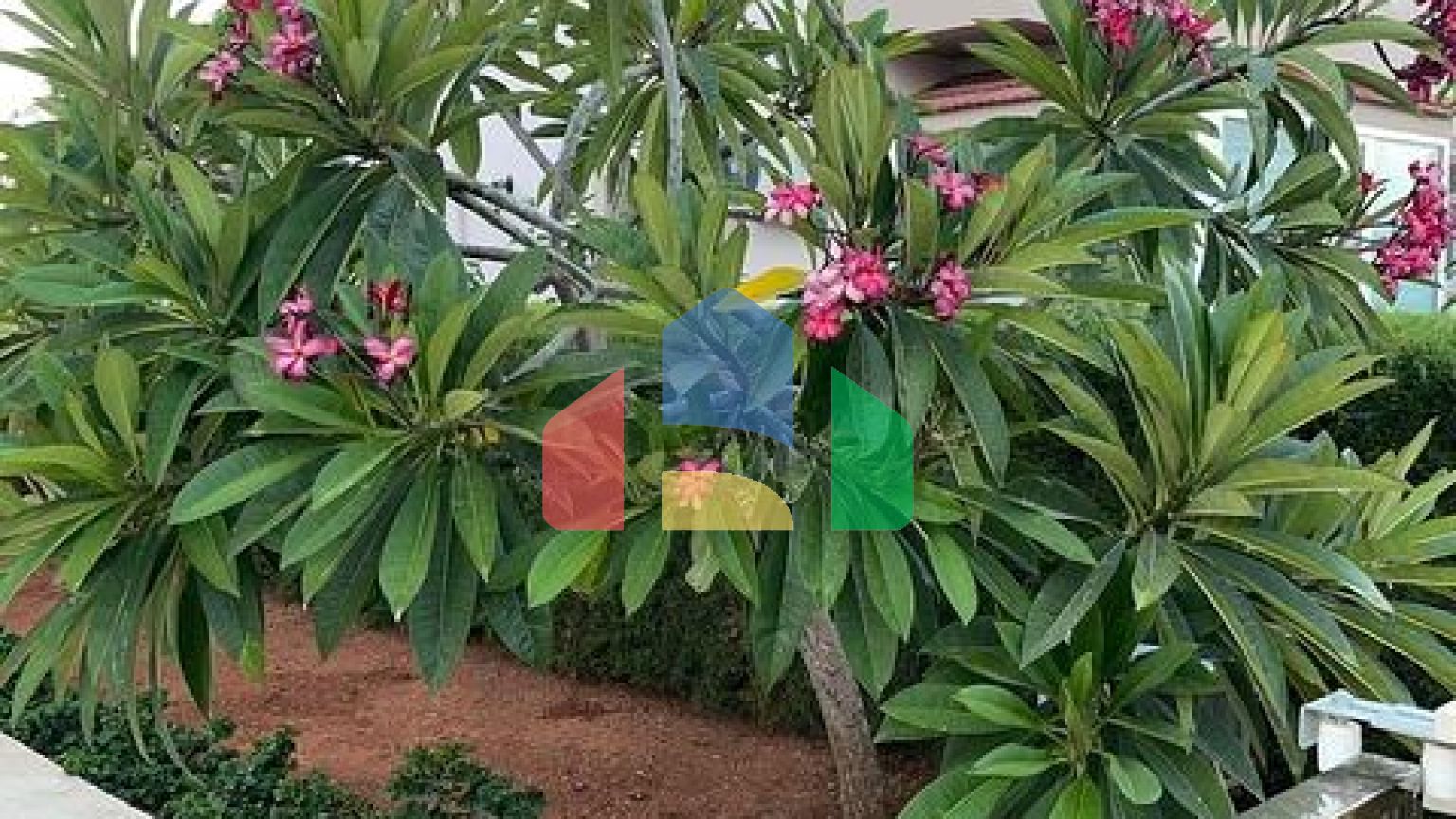 Вілла на узбережжі Long Beach