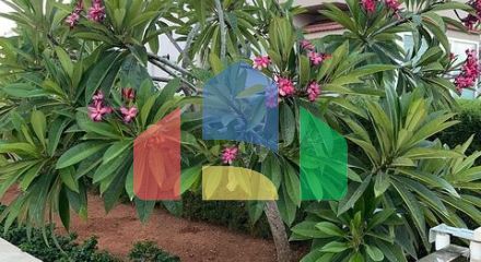 Вілла на узбережжі Long Beach