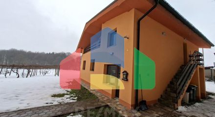 Residential - Cottage - Ormoz, Podravje region - SI