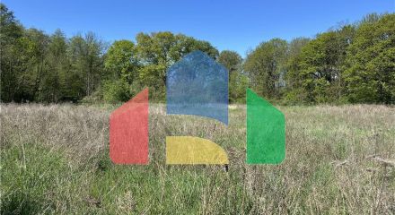 Commercial - Land - Osiek, Poland - PL