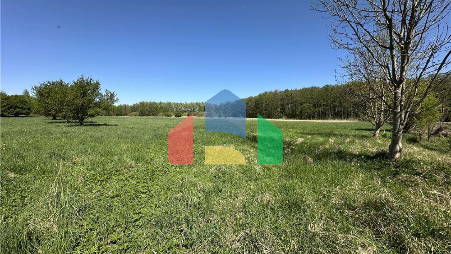 Commercial - Land - Osiek, Poland - PL