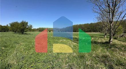 Commercial - Land - Osiek, Poland - PL