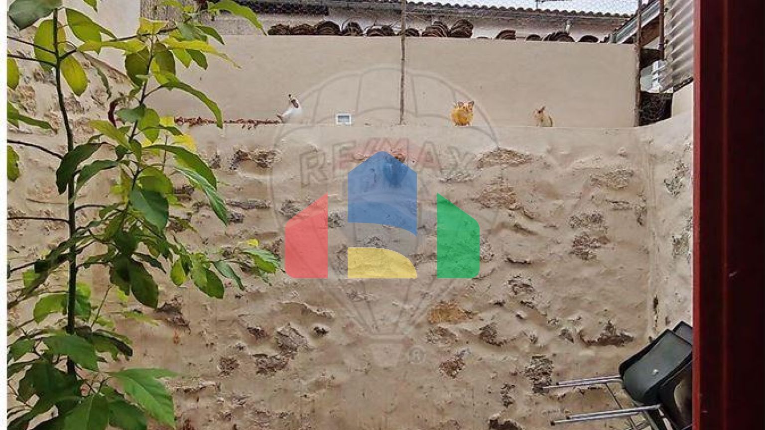 Residential - Single Family Home - Podensac, , Nouvelle-Aquitaine - FR