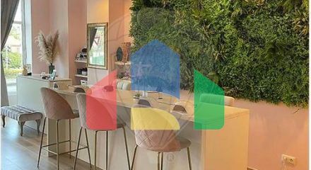 Commercial - Other - Caluire-et-Cuire, , Auvergne-Rhône-Alpes - FR