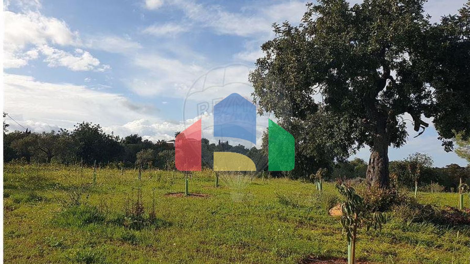 Residential - Land - Luz de Tavira e Santo Estêvão, Tavira - PT