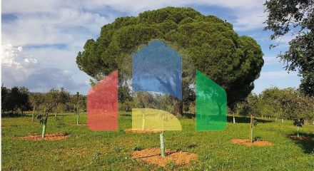 Residential - Land - Luz de Tavira e Santo Estêvão, Tavira - PT