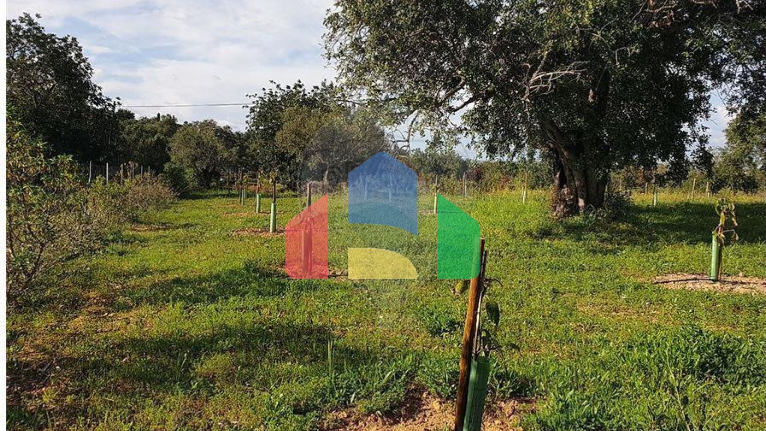 Residential - Land - Luz de Tavira e Santo Estêvão, Tavira - PT