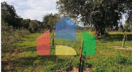 Residential - Land - Luz de Tavira e Santo Estêvão, Tavira - PT