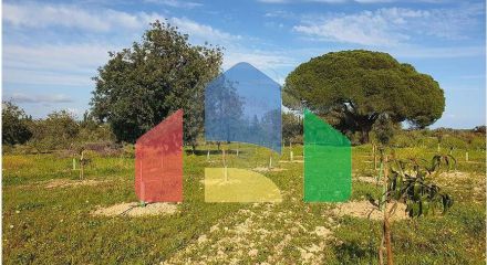 Residential - Land - Luz de Tavira e Santo Estêvão, Tavira - PT