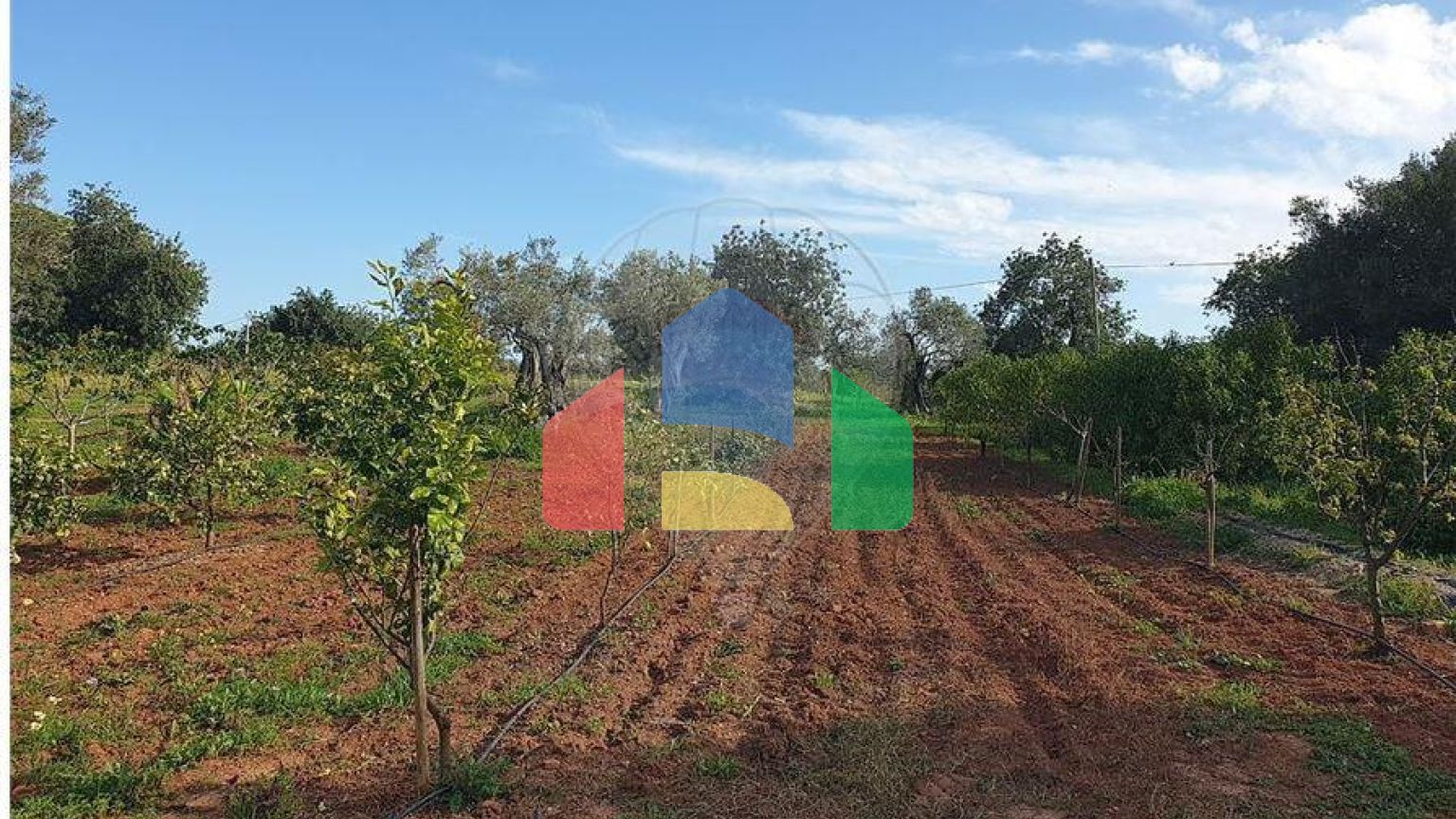 Residential - Land - Luz de Tavira e Santo Estêvão, Tavira - PT