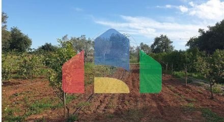 Residential - Land - Luz de Tavira e Santo Estêvão, Tavira - PT