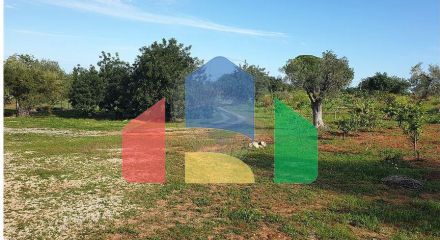 Residential - Land - Luz de Tavira e Santo Estêvão, Tavira - PT