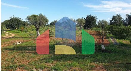 Residential - Land - Luz de Tavira e Santo Estêvão, Tavira - PT