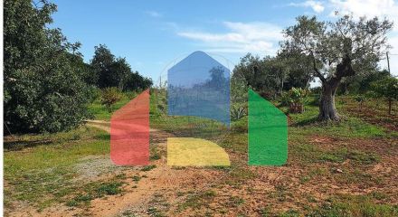 Residential - Land - Luz de Tavira e Santo Estêvão, Tavira - PT