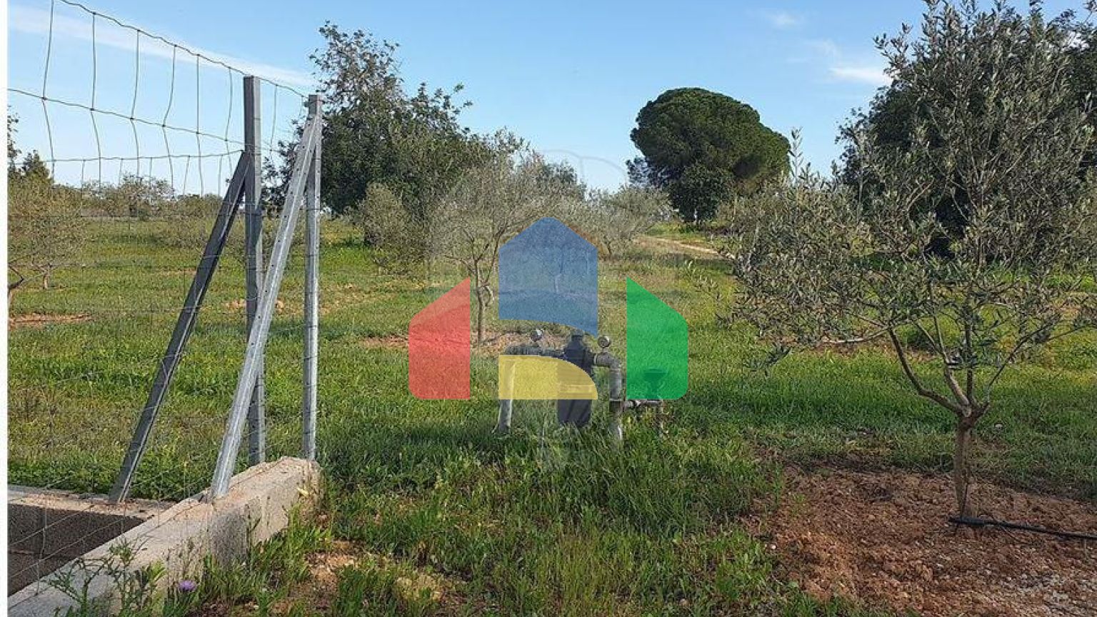 Residential - Land - Luz de Tavira e Santo Estêvão, Tavira - PT