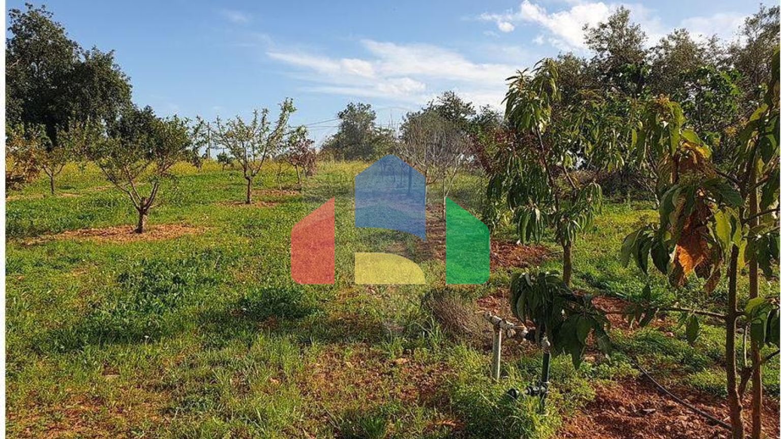 Residential - Land - Luz de Tavira e Santo Estêvão, Tavira - PT