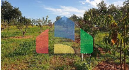 Residential - Land - Luz de Tavira e Santo Estêvão, Tavira - PT