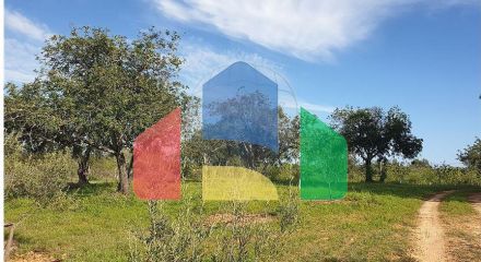 Residential - Land - Luz de Tavira e Santo Estêvão, Tavira - PT