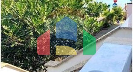 Residential - Holiday Apartment - Vir, Croatia - HR