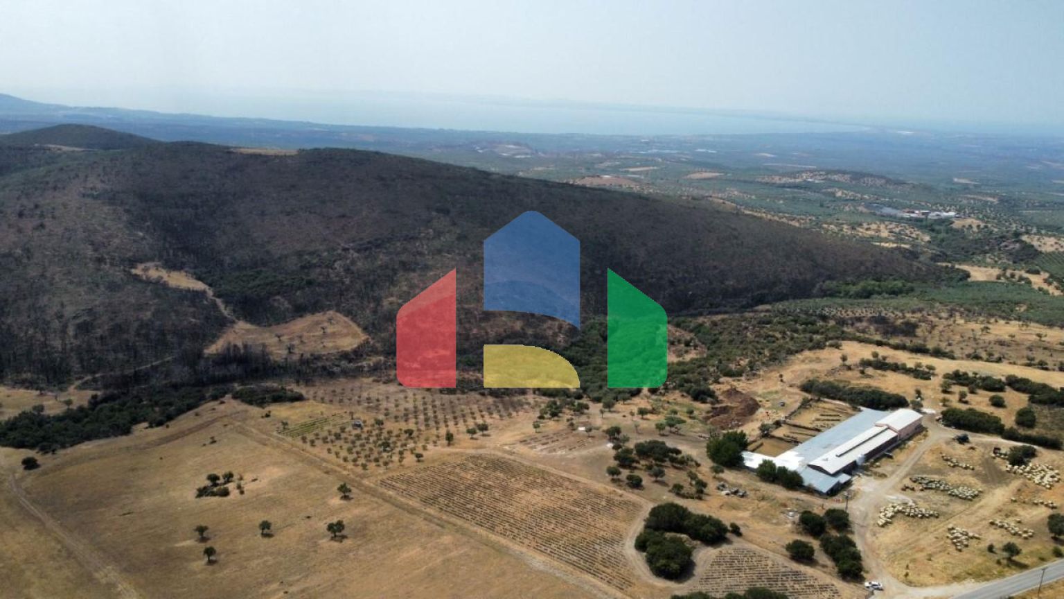 Продаж - Земельна ділянка 11500 m² в Халкидіках