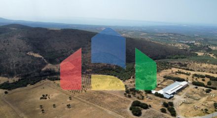 Продажа - Земельный участок 11500 m² в Халкидиках