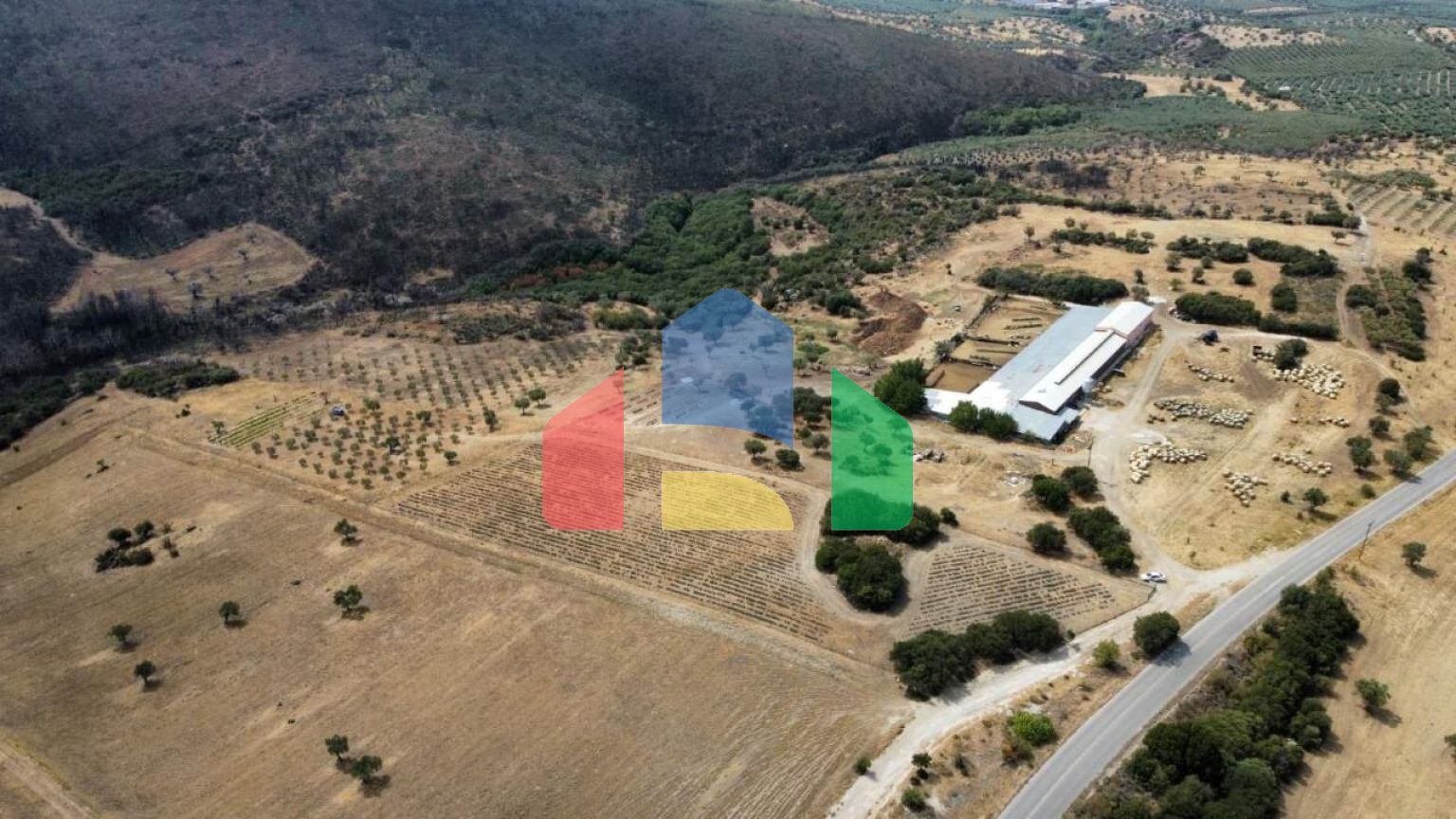 Продаж - Земельна ділянка 11500 m² в Халкидіках