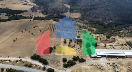 Продаж - Земельна ділянка 11500 m² в Халкидіках Продаж - Земельна ділянка 11500 m² в Халкидіках