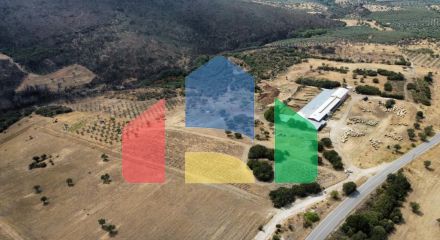 Продаж - Земельна ділянка 11500 m² в Халкидіках Продаж - Земельна ділянка 11500 m² в Халкидіках