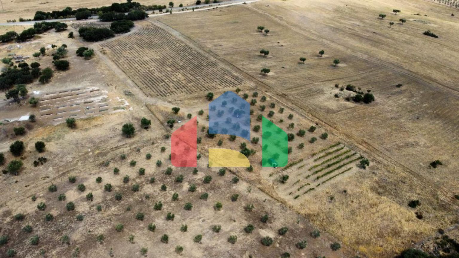 Продаж - Земельна ділянка 11500 m² в Халкидіках