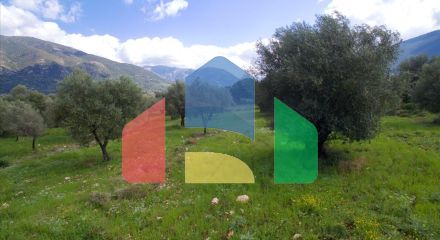 Продаж - Земельна ділянка 6113 m² на Кефалонія Продаж - Земельна ділянка 6113 m² на Кефалонія