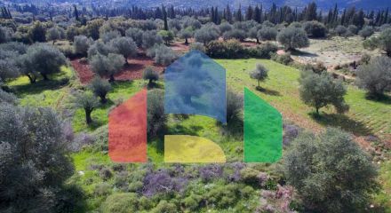 Продаж - Земельна ділянка 6113 m² на Кефалонія Продаж - Земельна ділянка 6113 m² на Кефалонія