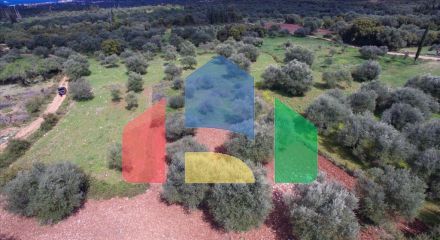 Продаж - Земельна ділянка 6113 m² на Кефалонія Продаж - Земельна ділянка 6113 m² на Кефалонія