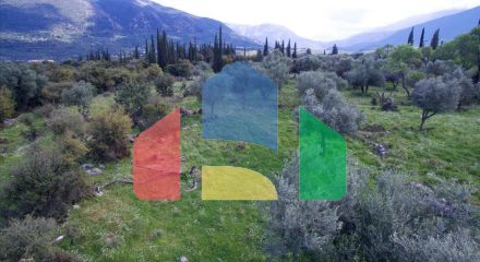 Продаж - Земельна ділянка 5491 m² на Кефалонія Продаж - Земельна ділянка 5491 m² на Кефалонія