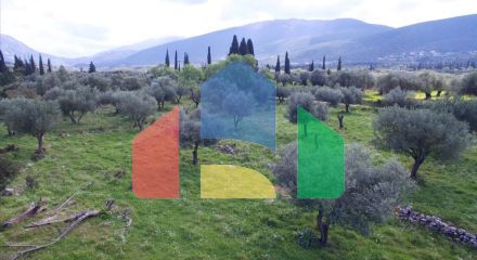 Продаж - Земельна ділянка 5491 m² на Кефалонія Продаж - Земельна ділянка 5491 m² на Кефалонія