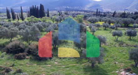 Продаж - Земельна ділянка 5491 m² на Кефалонія Продаж - Земельна ділянка 5491 m² на Кефалонія