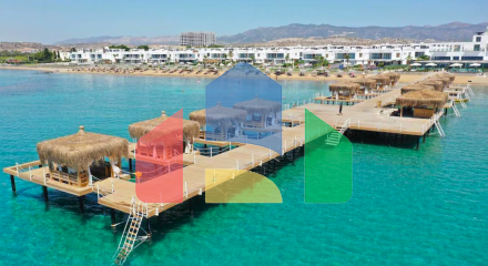 Студия 46 м2 с мебелью и техникой