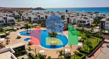 Студия 46 м2 с мебелью и техникой